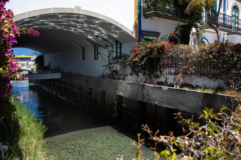 Apartamentos Las Palmeras ปวยร์โต เด มอแกน ภายนอก รูปภาพ